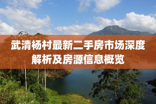 武清楊村最新二手房市場深度解析及房源信息概覽