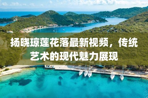 揚曉瓊蓮花落最新視頻，傳統(tǒng)藝術(shù)的現(xiàn)代魅力展現(xiàn)