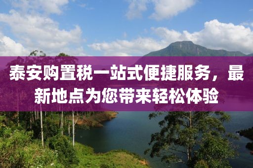泰安購置稅一站式便捷服務，最新地點為您帶來輕松體驗