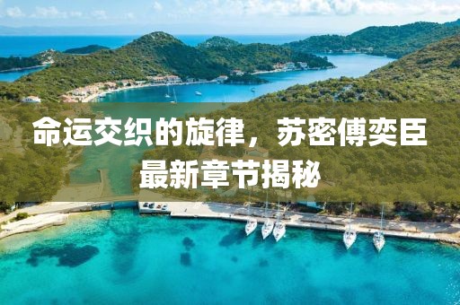 命運(yùn)交織的旋律，蘇密傅奕臣最新章節(jié)揭秘