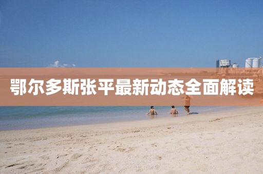 鄂爾多斯張平最新動(dòng)態(tài)全面解讀