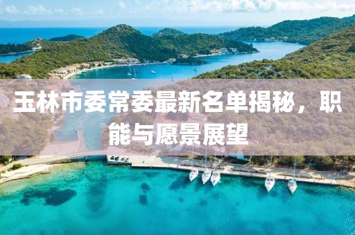 玉林市委常委最新名單揭秘，職能與愿景展望