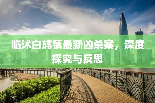 臨沭白旄鎮(zhèn)最新兇殺案，深度探究與反思