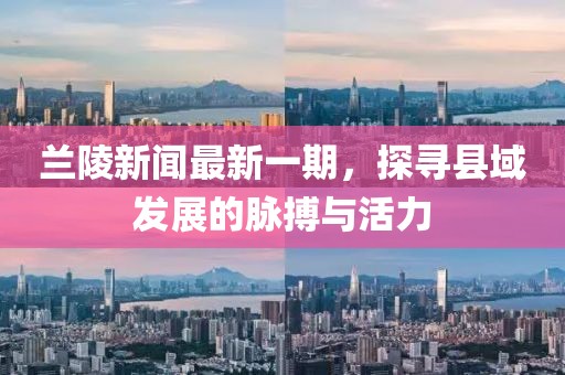 蘭陵新聞最新一期，探尋縣域發(fā)展的脈搏與活力
