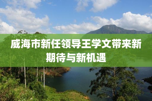 威海市新任領(lǐng)導(dǎo)王學(xué)文帶來新期待與新機(jī)遇