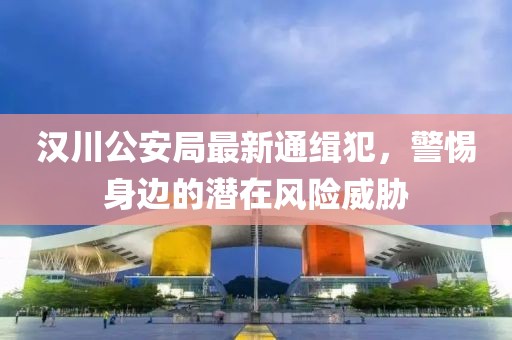 漢川公安局最新通緝犯，警惕身邊的潛在風險威脅