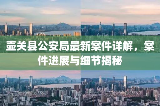 壺關(guān)縣公安局最新案件詳解，案件進(jìn)展與細(xì)節(jié)揭秘