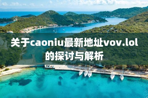 關(guān)于caoniu最新地址vov.lol的探討與解析