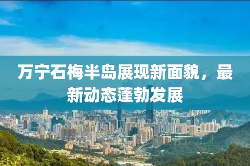 千里清秋 第15頁(yè)