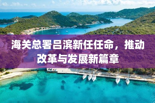 海關(guān)總署呂濱新任任命，推動(dòng)改革與發(fā)展新篇章