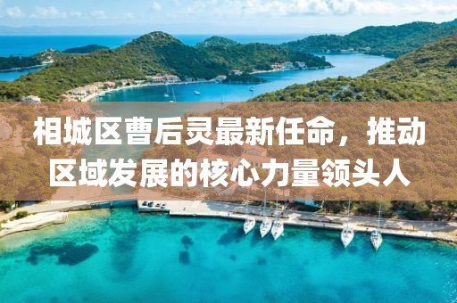 相城區(qū)曹后靈最新任命，推動區(qū)域發(fā)展的核心力量領(lǐng)頭人