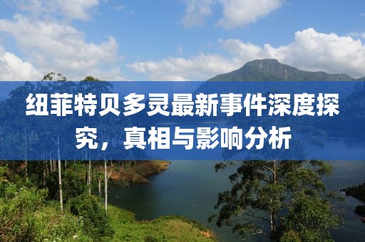 紐菲特貝多靈最新事件深度探究，真相與影響分析