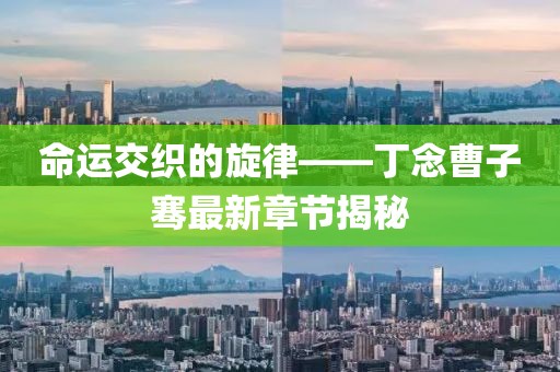 命運(yùn)交織的旋律——丁念曹子騫最新章節(jié)揭秘