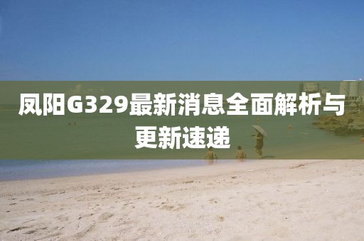 鳳陽G329最新消息全面解析與更新速遞