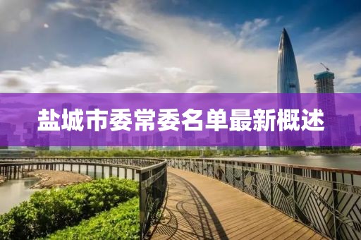 鹽城市委常委名單最新概述