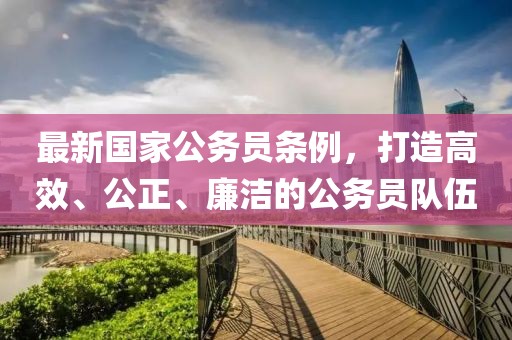 最新國(guó)家公務(wù)員條例，打造高效、公正、廉潔的公務(wù)員隊(duì)伍
