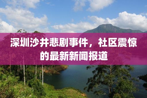 深圳沙井悲劇事件，社區(qū)震驚的最新新聞報道