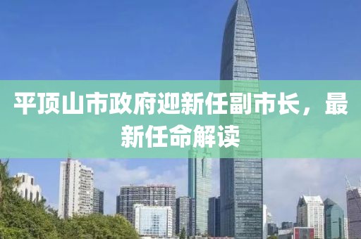 平頂山市政府迎新任副市長，最新任命解讀