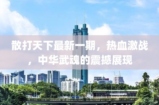 散打天下最新一期，熱血激戰(zhàn)，中華武魂的震撼展現(xiàn)