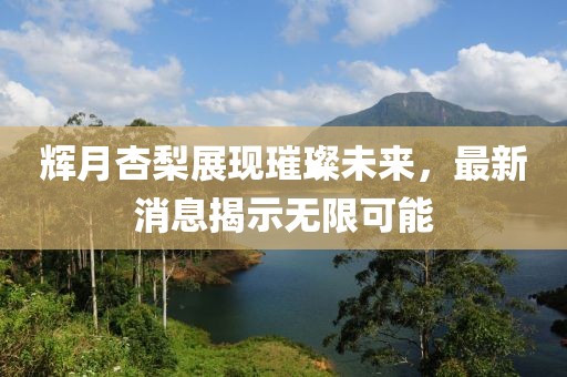 輝月杏梨展現(xiàn)璀璨未來(lái)，最新消息揭示無(wú)限可能