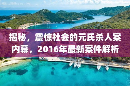 揭秘，震驚社會(huì)的元氏殺人案內(nèi)幕，2016年最新案件解析