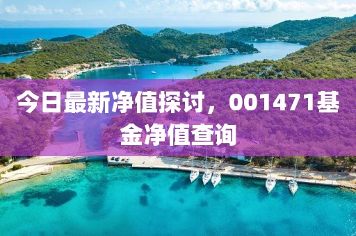 今日最新凈值探討，001471基金凈值查詢