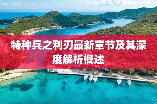特種兵之利刃最新章節(jié)及其深度解析概述