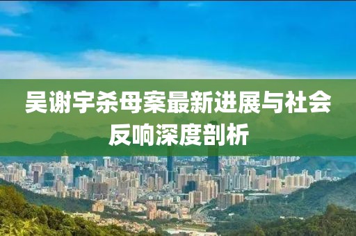 吳謝宇殺母案最新進(jìn)展與社會(huì)反響深度剖析