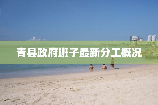 青縣政府班子最新分工概況