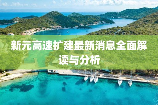 新元高速擴建最新消息全面解讀與分析