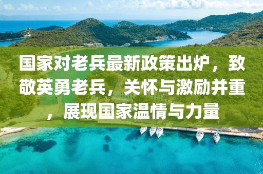 國家對(duì)老兵最新政策出爐，致敬英勇老兵，關(guān)懷與激勵(lì)并重，展現(xiàn)國家溫情與力量