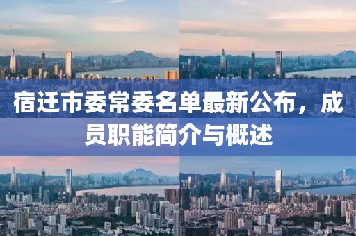 宿遷市委常委名單最新公布，成員職能簡介與概述