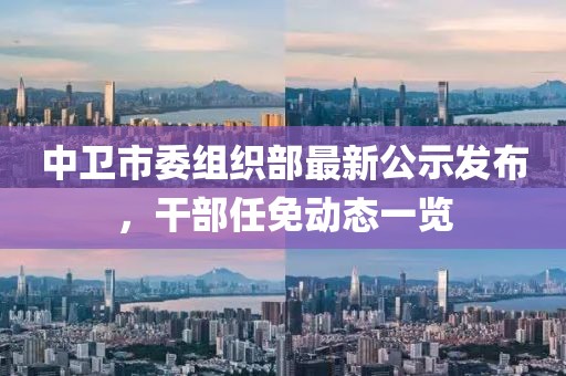 中衛(wèi)市委組織部最新公示發(fā)布，干部任免動態(tài)一覽