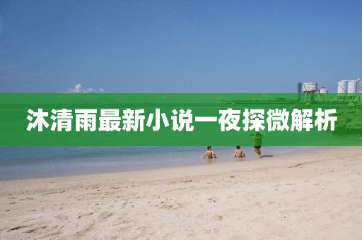 沐清雨最新小說一夜探微解析