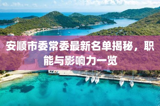 安順市委常委最新名單揭秘，職能與影響力一覽