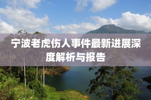 寧波老虎傷人事件最新進展深度解析與報告