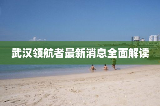 武漢領(lǐng)航者最新消息全面解讀
