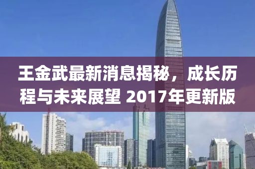 王金武最新消息揭秘，成長歷程與未來展望 2017年更新版