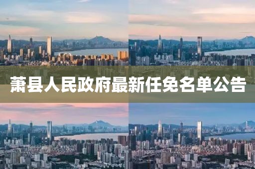 蕭縣人民政府最新任免名單公告