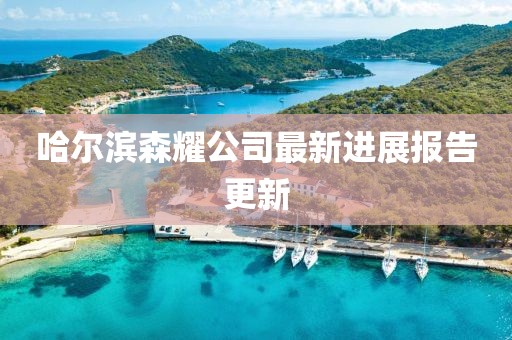 哈爾濱森耀公司最新進(jìn)展報(bào)告更新