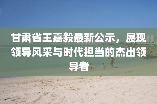 甘肅省王嘉毅最新公示，展現(xiàn)領(lǐng)導(dǎo)風(fēng)采與時代擔(dān)當(dāng)?shù)慕艹鲱I(lǐng)導(dǎo)者