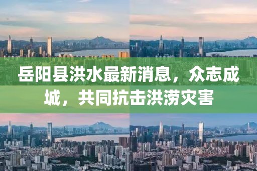 岳陽縣洪水最新消息，眾志成城，共同抗擊洪澇災(zāi)害