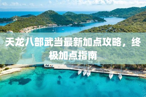 天龍八部武當(dāng)最新加點攻略，終極加點指南