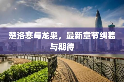 楚洛寒與龍梟，最新章節(jié)糾葛與期待