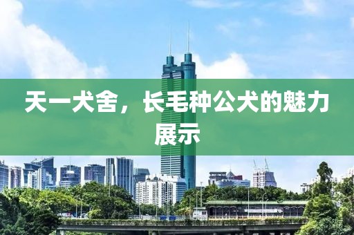 天一犬舍，長毛種公犬的魅力展示