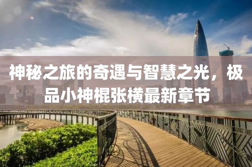 神秘之旅的奇遇與智慧之光，極品小神棍張橫最新章節(jié)