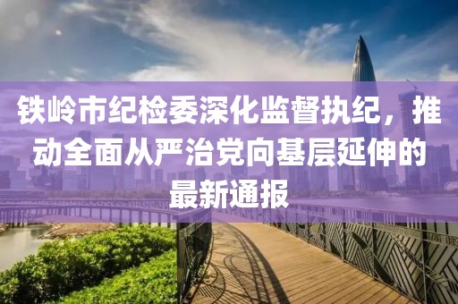 鐵嶺市紀(jì)檢委深化監(jiān)督執(zhí)紀(jì)，推動全面從嚴(yán)治黨向基層延伸的最新通報(bào)