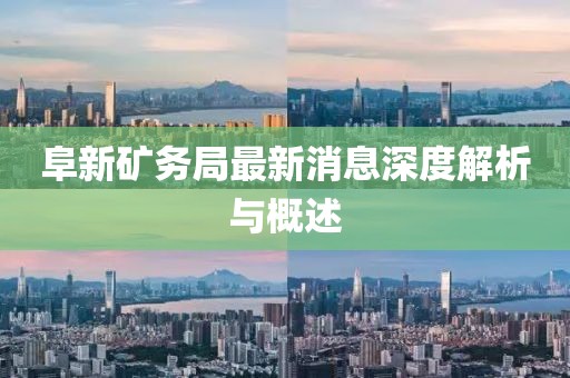 阜新礦務(wù)局最新消息深度解析與概述