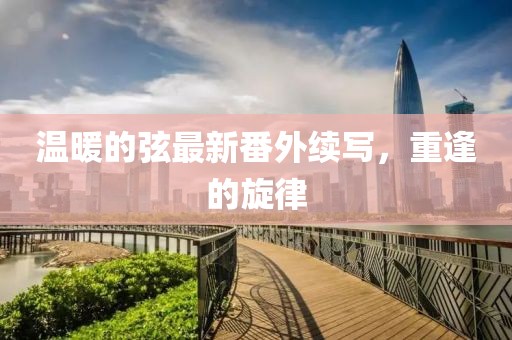 溫暖的弦最新番外續(xù)寫，重逢的旋律