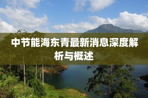 中節(jié)能海東青最新消息深度解析與概述
